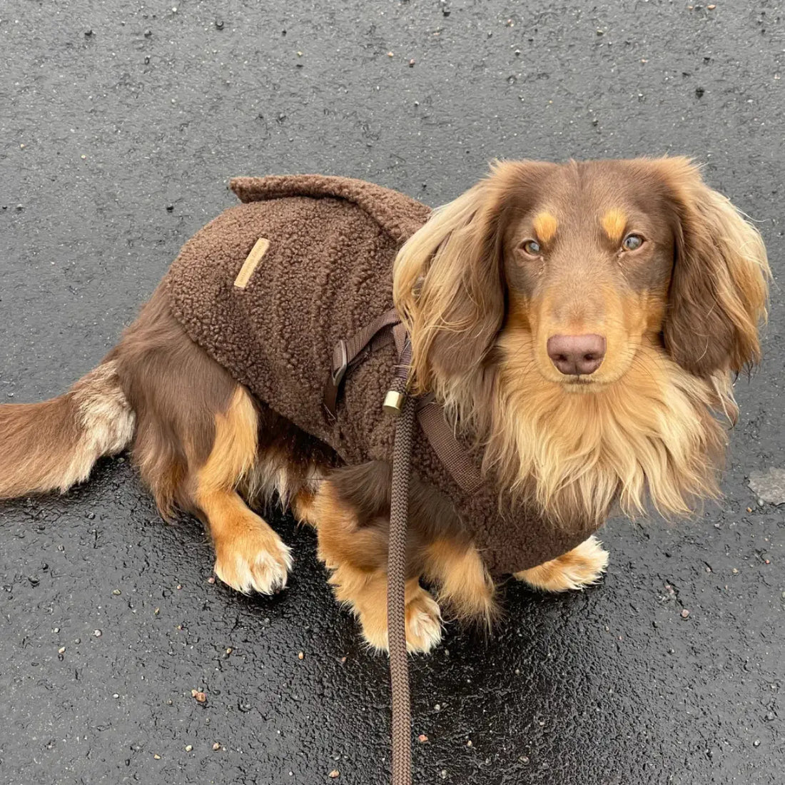 Puppy Bohème // Step-in dog rain jacket with harness (café latte) (Kopier) (Kopier) (Kopier)