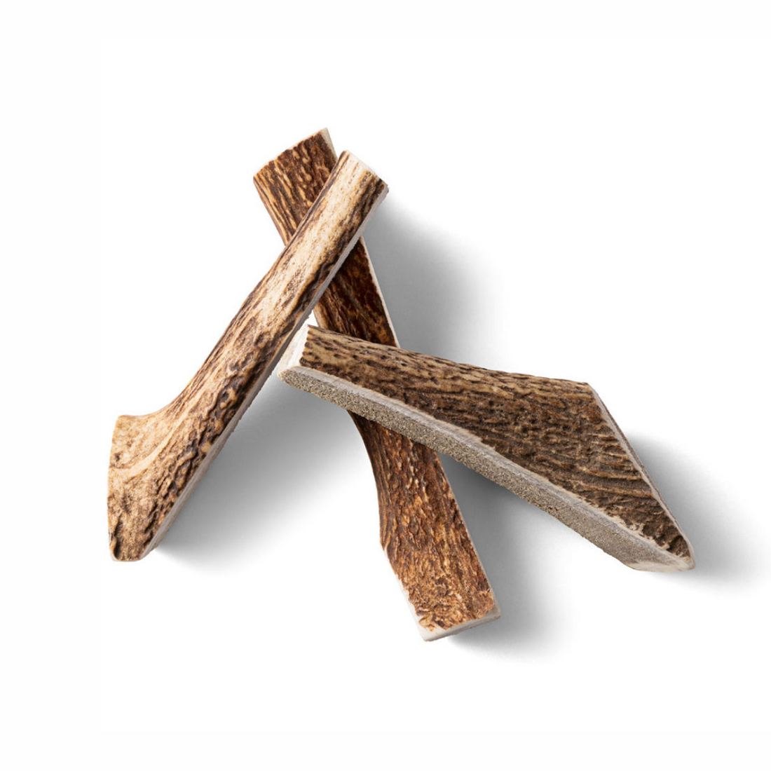 Natural Chew // Halved deer antler, perfect for puppies
