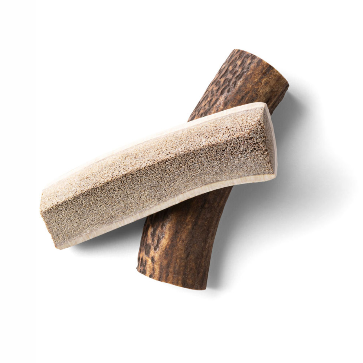 Natural Chew // Halved deer antler, perfect for puppies