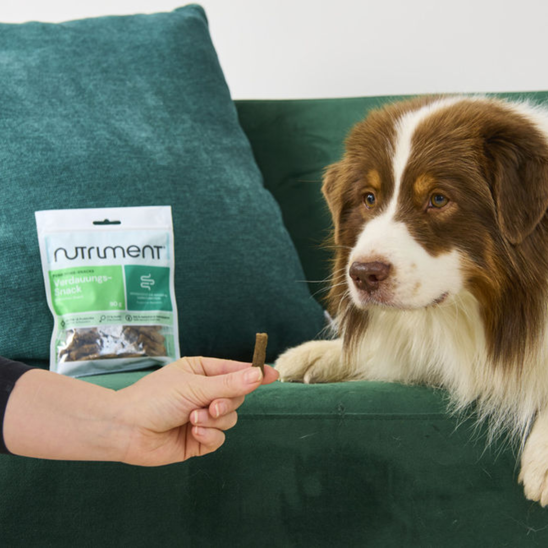 Nutriment® Digestion Snack // Funktionelle godbidder til støtte af fordøjelsen