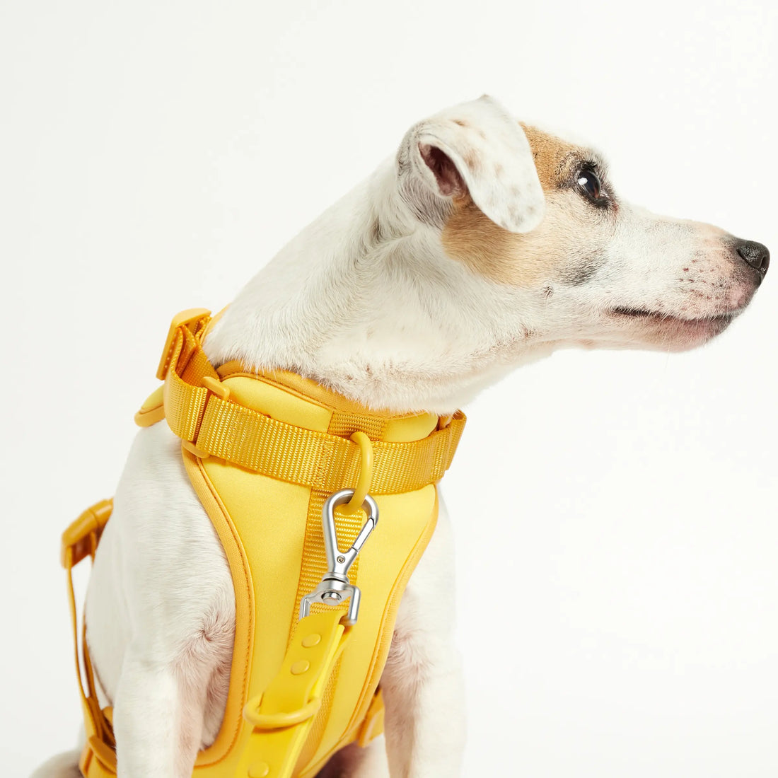 Rose W. Harness // Robust og justerbar hundesele (gul)