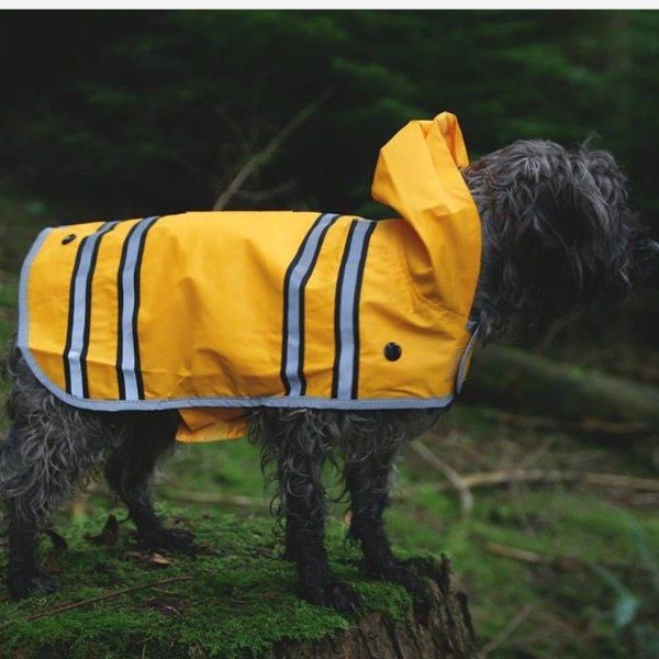 Sötnos Sunshine Raincoat // Raincoat that doesn't go over the head