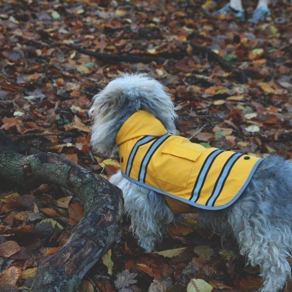 Sötnos Sunshine Raincoat // Raincoat that doesn't go over the head