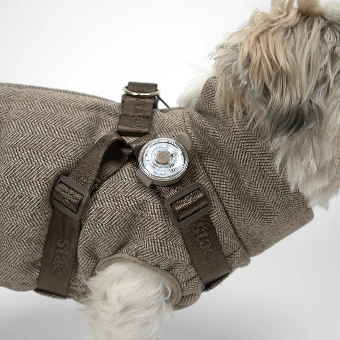 Staey Lumi Safety Light Pro // Praktisk sikkerhedslygte til hunde (taupe)