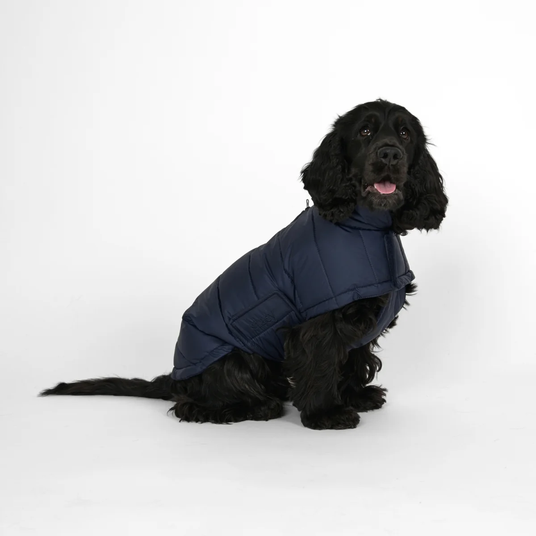 Staey Nora // Let vinterjakke til hunde (midnight)