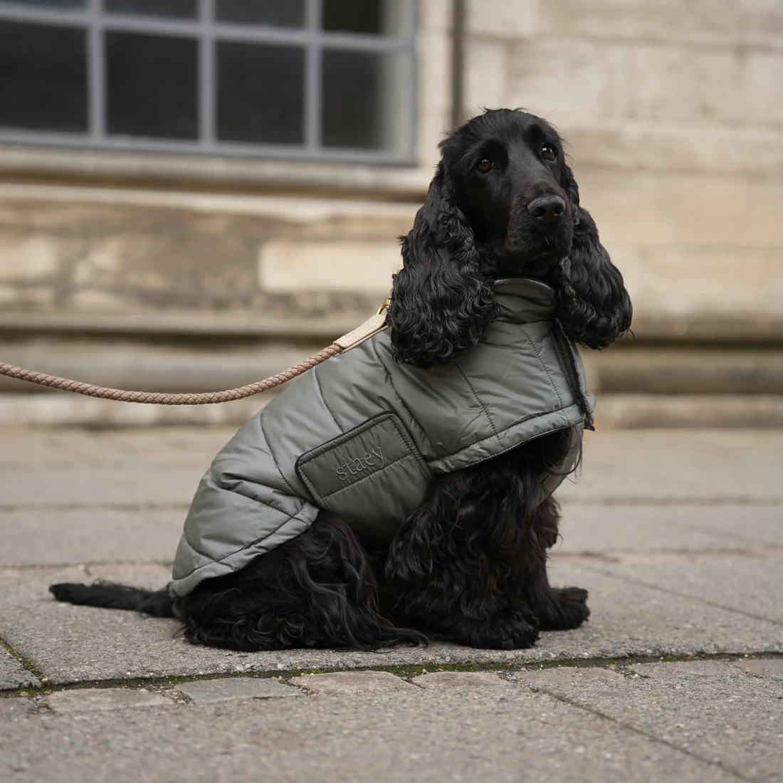 Staey Nora // Let vinterjakke til hunde (moss green)