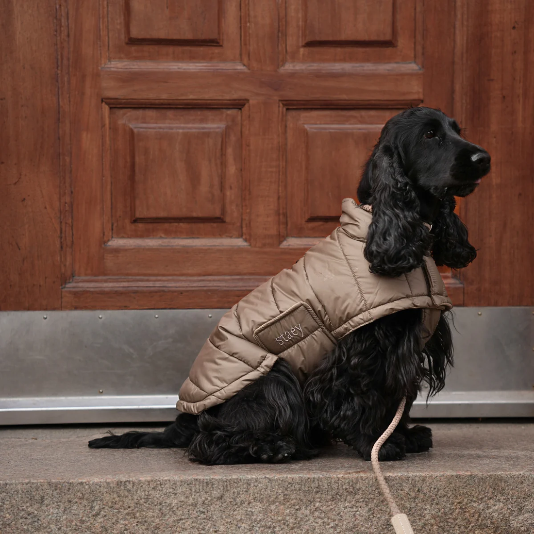 Staey Nora // Let vinterjakke til hunde (taupe)