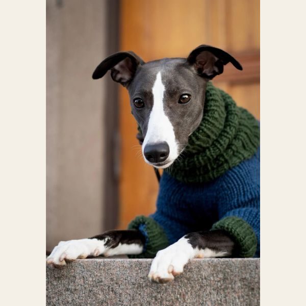 Wear Fifi // Knitting pattern for a dog sweater for greyhounds
