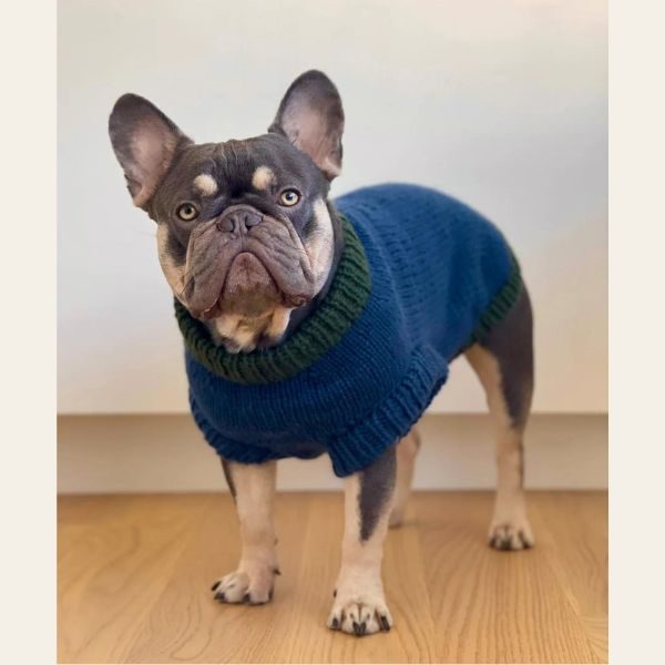 Wear Fifi // Knitting pattern for a French Bulldog sweater