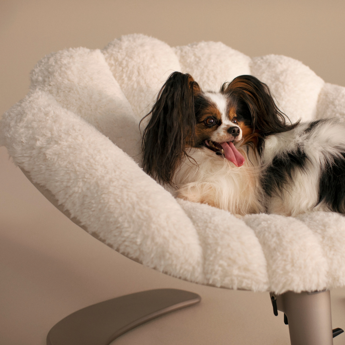 Tavo Shell™ // Gyngende lounge hundeseng (latte)