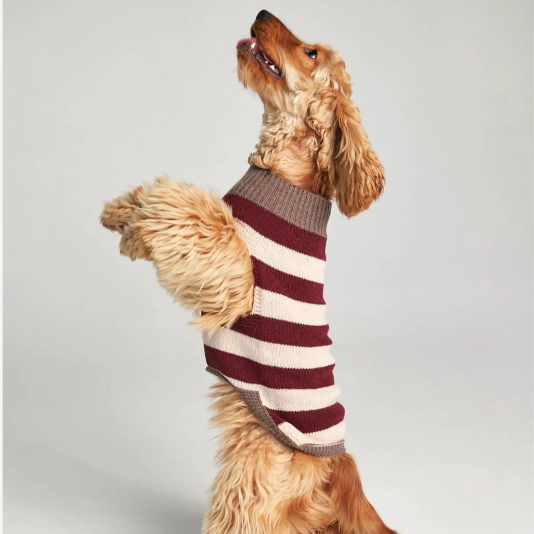 Annie Sweater // Hundesweater i merinould og cashmere (bordeaux/brun)