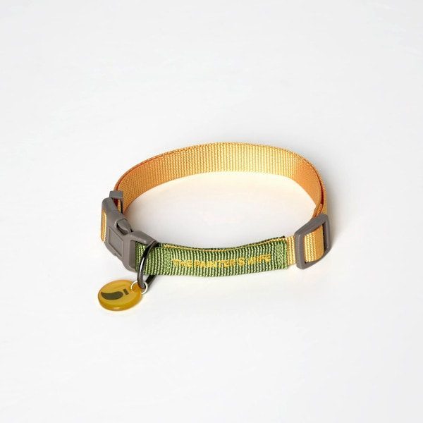 Sonia Mimosa // Colorful collar with click buckle