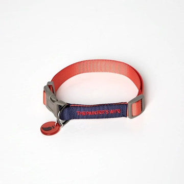 Sonia Vermilion // Colorful collar with click buckle