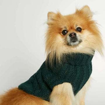 The Painter's Wife // Merino wool dog sweater (XL) (Kopier)