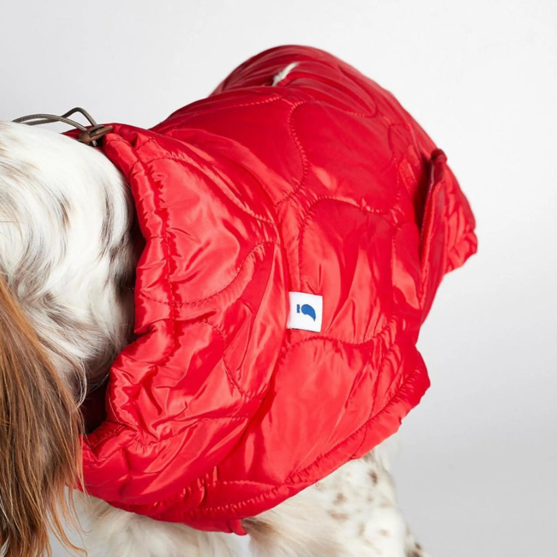 The Painters Wife // Puffer / dog jacket (khaki green) (Kopier)