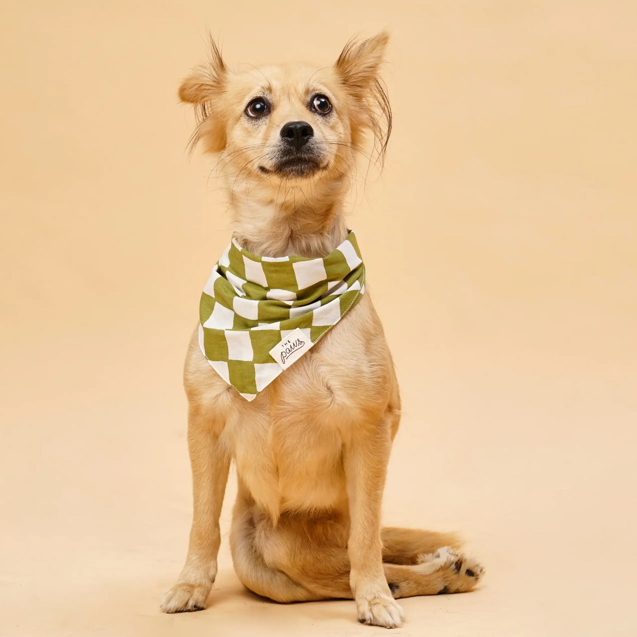 Classic Checkmate // Dog bandana in classic checks (green-white)