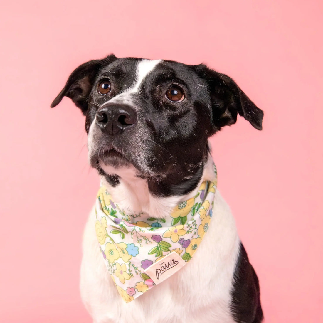 Petal // Dog bandana with flowers in pastel colors