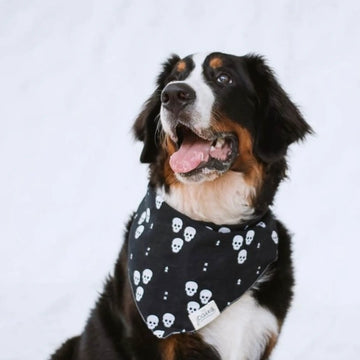 One Eyed Honey // Cool dog bandana with skulls