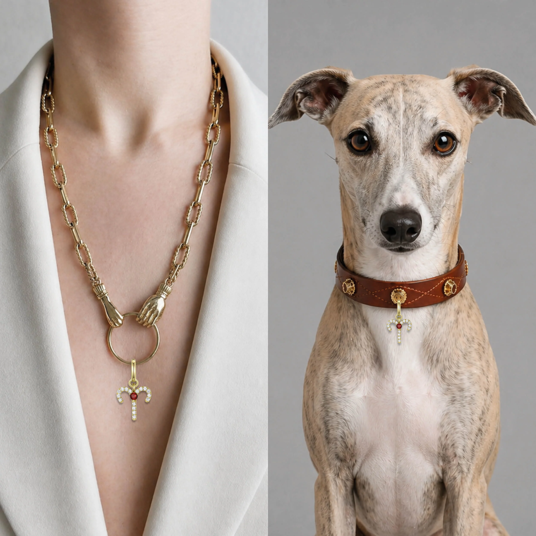 Unleash Cph Aries Charm // Pendant for dog collar (Aries)
