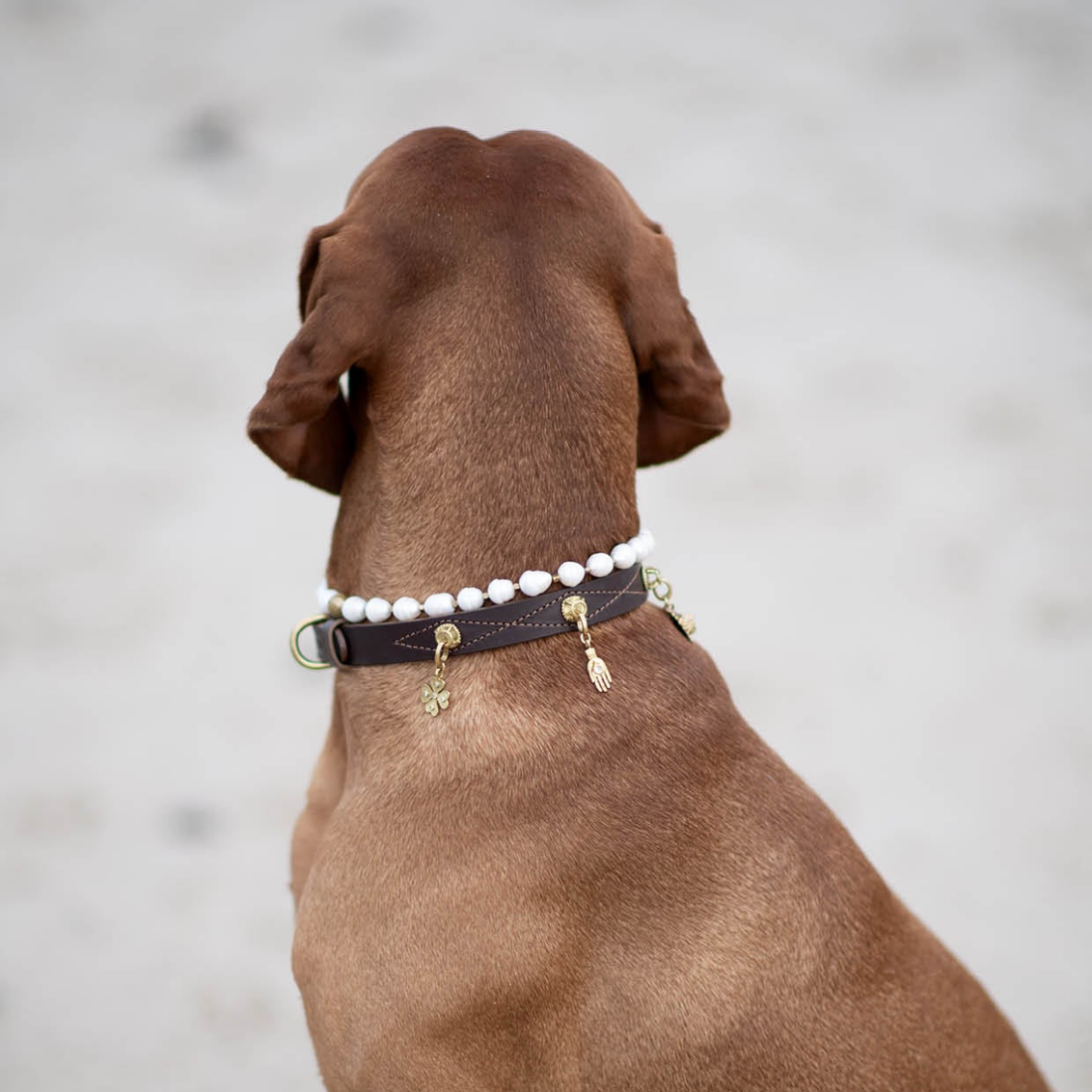 Unleash Cph Balance Necklace // Perlehalskæde til hunde