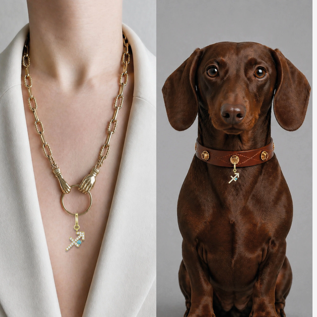 Unleash Cph Saggitarius Charm // Vedhæng til hundehalsbånd (skytte)