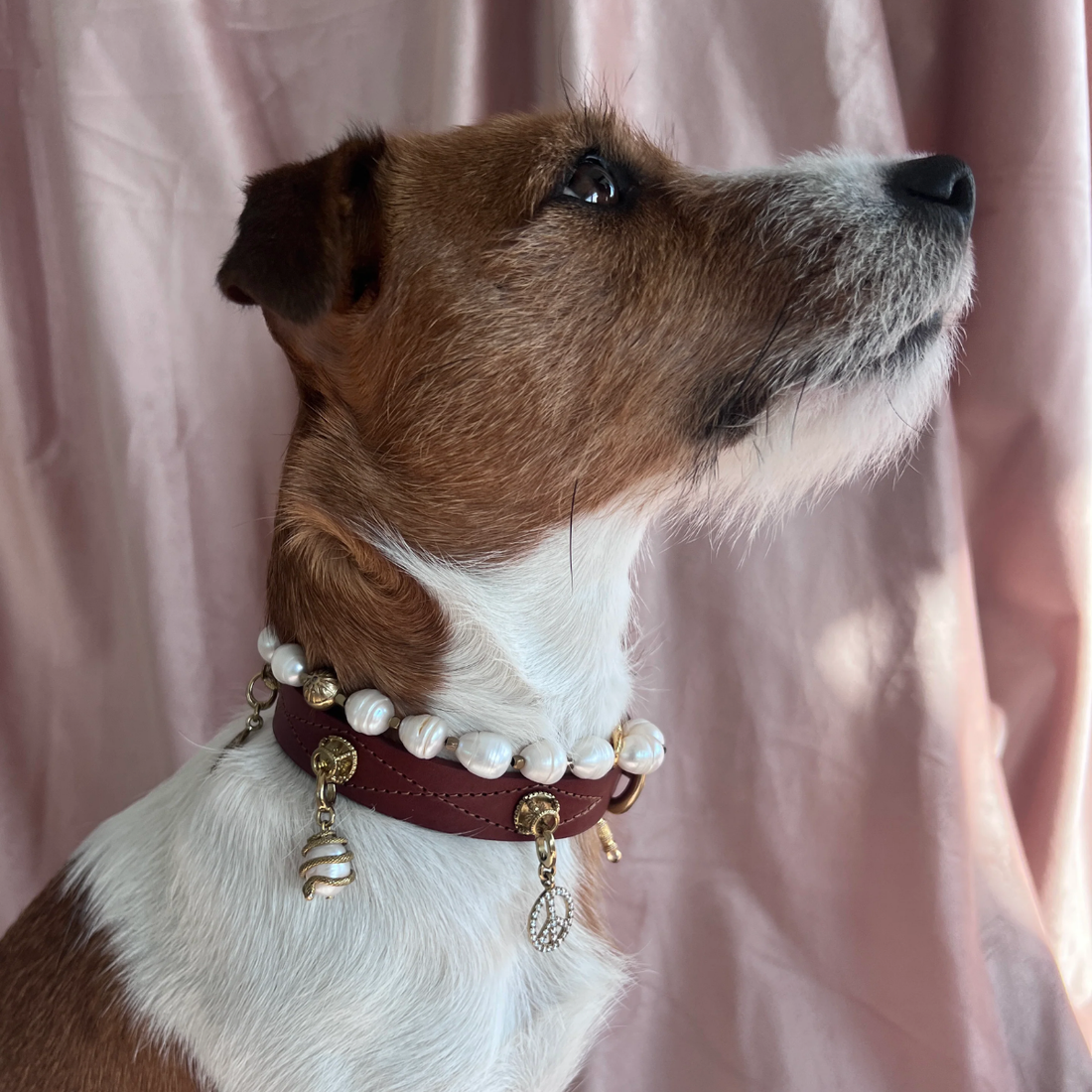 Unleash Cph Transformation Charm - Snake & Pearl // Vedhæng til hundehalsbånd