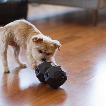 Up dog The Odin // Aktivitetsbold til godbidder (sort)
