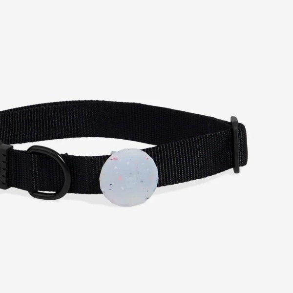 Zee.dog Jelly // Airtag holder for collar and harness