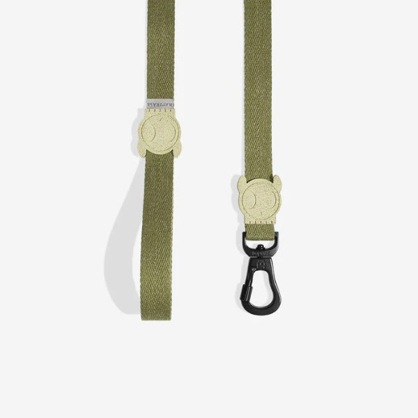Zee.dog Moss // Soft, standard dog lead (light green)