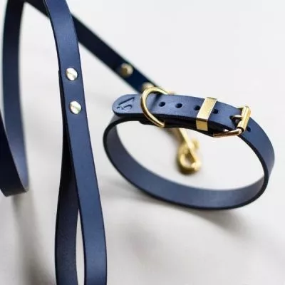 blue leather collar