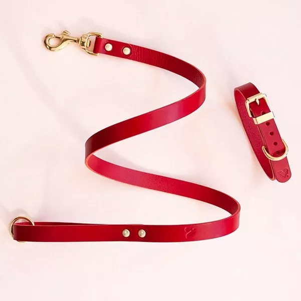 Handmade red leather collar for dogs