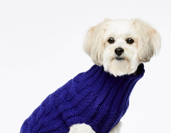 Hundesweater der holder din hund varm i kulden