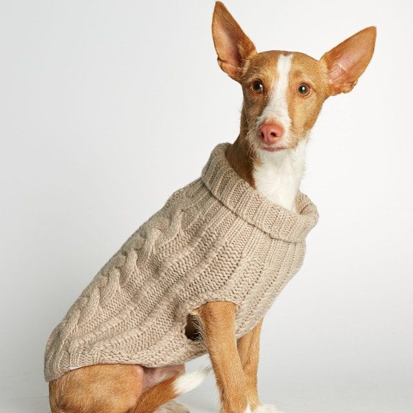 varm sweater til hunde beige