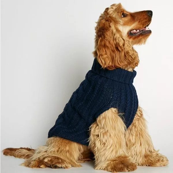 nice knitwear for dogs navy