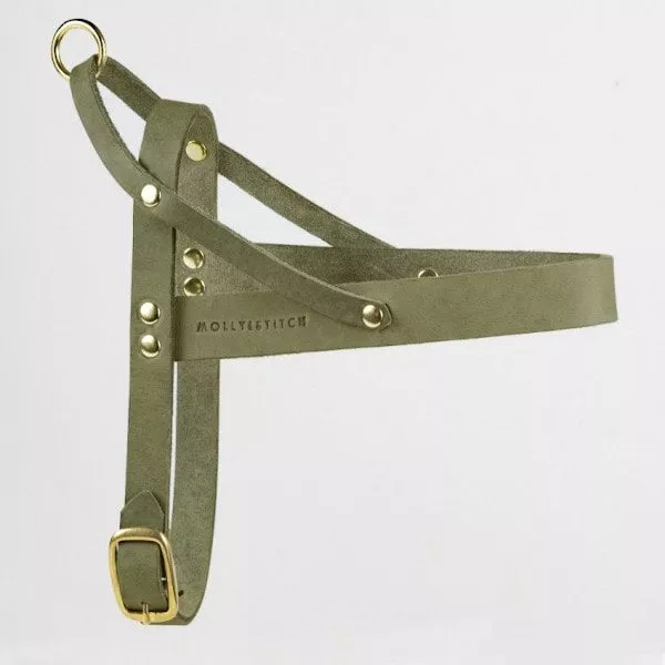 leather harness green
