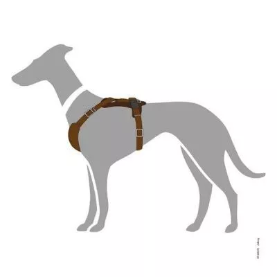 lædersele til hund i brun