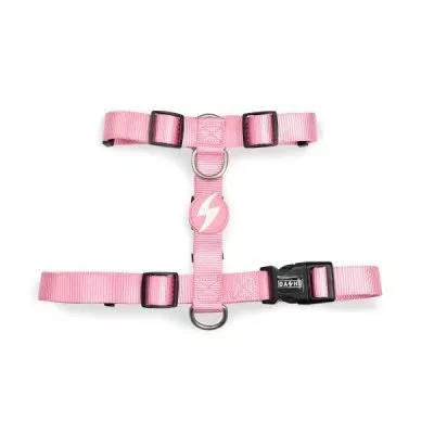 highly adjustable puppy harness