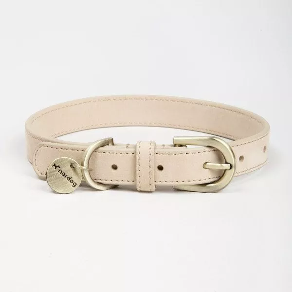 dog collar for labradoodle