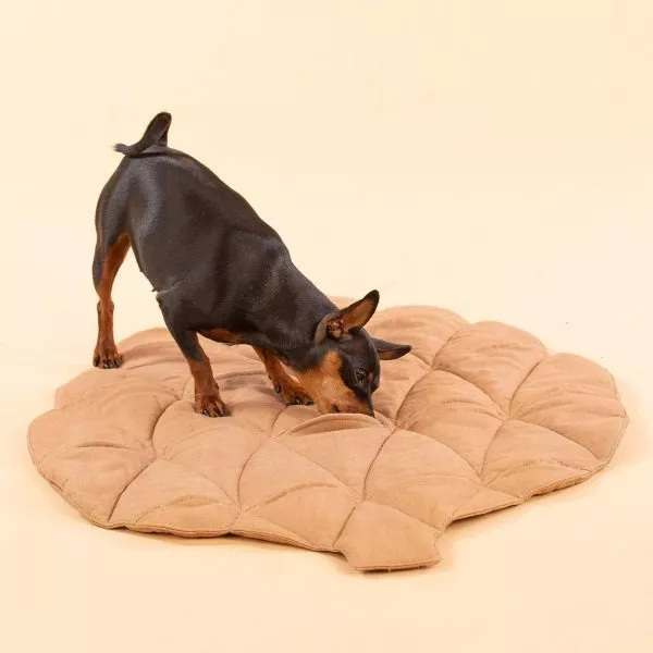 activity mat for dogs
