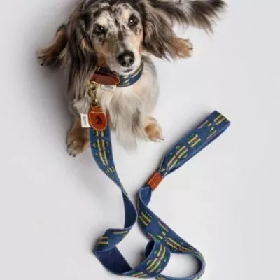 soft dog leash