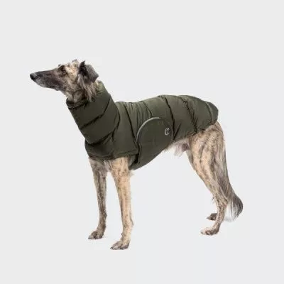 coat for greyhounds and whippets