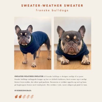 Strik selv en sweater til din franske bulldog